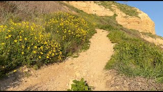 From the beach up to the hill in three minutes.