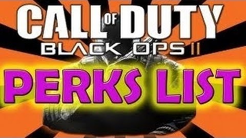 Black Ops 2 Weapon and Perk List