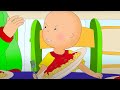 Caillou and Anger Management | Caillou | Cartoons for Kids | WildBrain Kids