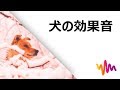 犬がワンワン吠える音 HD ｜犬のフリー効果音素材(効果音数：27)