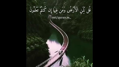 القارئ الشيخ رعد الكردي/حالات واتس اب قرآن كريم ❤❤