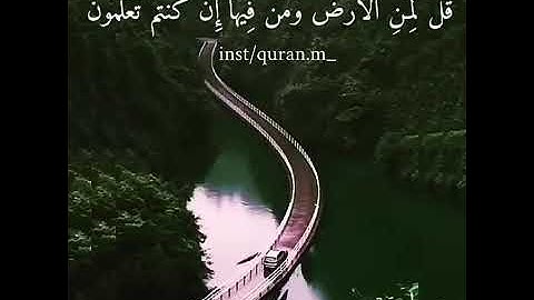 القارئ الشيخ رعد الكردي/حالات واتس اب قرآن كريم ❤❤