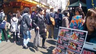 Tokyo - Tsukiji - marche aux poissons