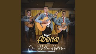 Video thumbnail of "Trio Adonai - Con Alegres Corazones"