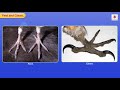 Fascinating World of Birds | Science for Kids | Grade 3 | Periwinkle