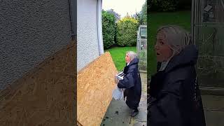 Cats Being Dorks Funny Clumsy Cat Fails