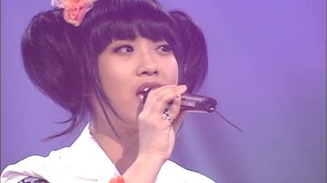 애송이의 사랑 - 양파