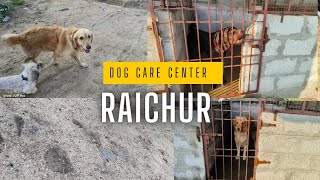 dog care center #raichur #raichurdistrict #raichuru #petcare #petcareservices #pets #dogshorts