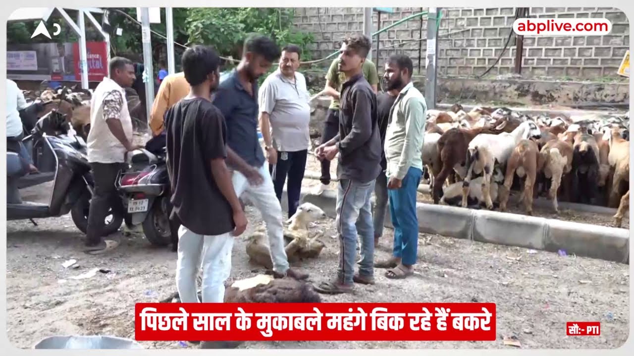 Eid-ul-Adha 2023: हैदराबाद में पिछले साल के मुकाबले महंगे बिक रहे हैं बकरे | Bakrid 2023