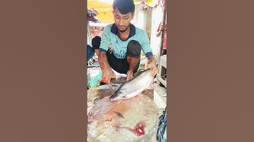 Rinse the Pangas fish thoroughly with clean water.#shortsfeed #fishcutting #pangasiusfish #fish
