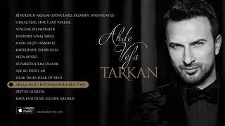 Tarkan  -  Akşam  Oldu  Hüzünlendim Resimi