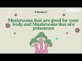YOU have to know this about mushrooms!