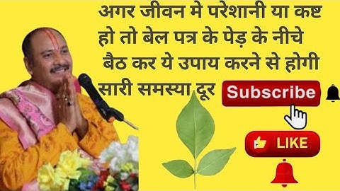 अगर जीवन में बहुत परेशानी और कष्ट है तो बेल पत्र के पेड के नीचे उपाय करे ,#प्रदीप मिश्रा जी का उपाय,