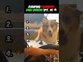 Ranking FUNNIEST DOG VIDEOS Ever!! (Part 4) 😂 🐶 #funny #dogs #dogvideos #dogshorts #ranking #viral