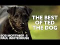 The best of ted the dog  gone fishing  bob mortimer  paul whitehouse