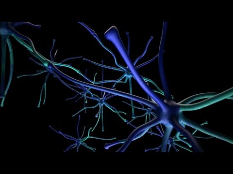 Vidéo: Physiologie De L'illusion: Comment Le Cerveau Nous Protège De La Mort Et Nous Rend Uniques - Vue Alternative