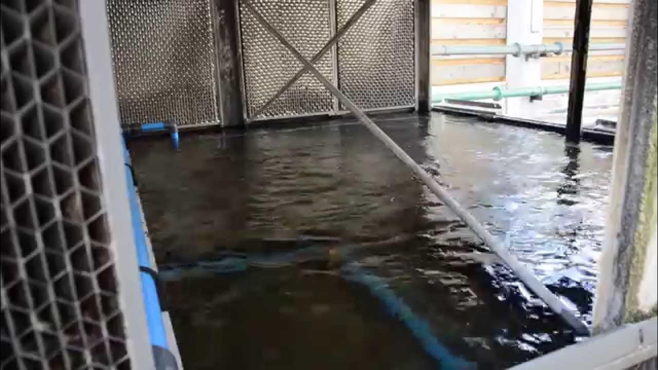 Cooling Tower on-line Sump Cleaning - YouTube