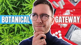 Cannabis: Harmless Botanical or Gateway Drug - Doctor Explains
