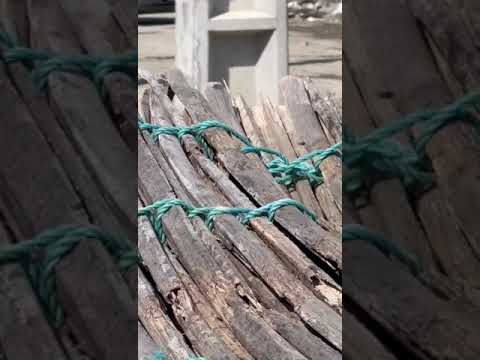 دعوا ناموسی کار اینا دیگ از قمه گذشته با تفنگ میرن دعوااستان هرمزگان روستای کرگان 