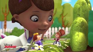 "What's Going On?" Song | Doc McStuffins | @disneykids