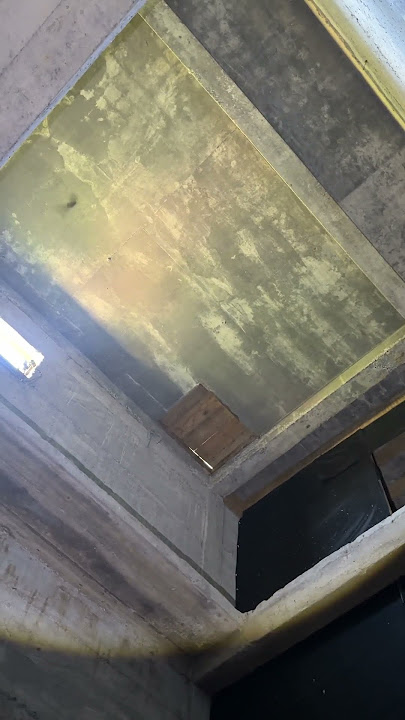 burung walet suka di dalam gedung padahal di luar panas.. berarti walet sudah betah dan mau bertahan