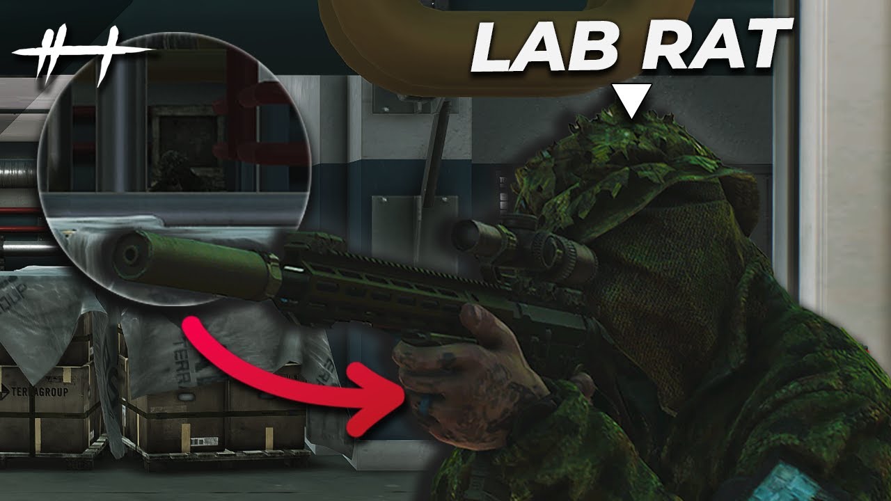 I lost it all to a LAB RAT