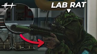 I Lost It All To A Lab Rat