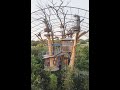 My favorite airbnb treehouses