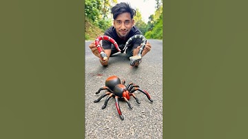 2 Snake R RC Spider | Remote Control Snake Unboxing 🔥