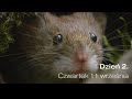 Filmy konkursowe XX MFFP - Dzień 2 /11.09.2025/