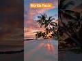 worlds facts #shortvideo #facts #ytshorts #travel #shorts #shortvideo #worldfacts #viralvideo