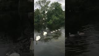 Download Lagu 2 July 2019 MP3