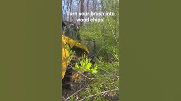 Forestry mulching in Franklin, TN