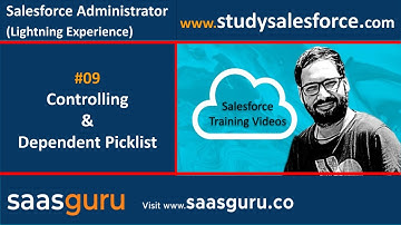 09 Controlling as checkbox or picklist and Dependent as picklists or multi select picklist