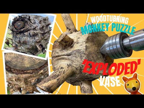 Woodturning | Monkey