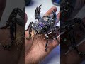 mechanical Toys Generator shorts and video #viral #reels #luxury #ai 💯💯❤️❤️