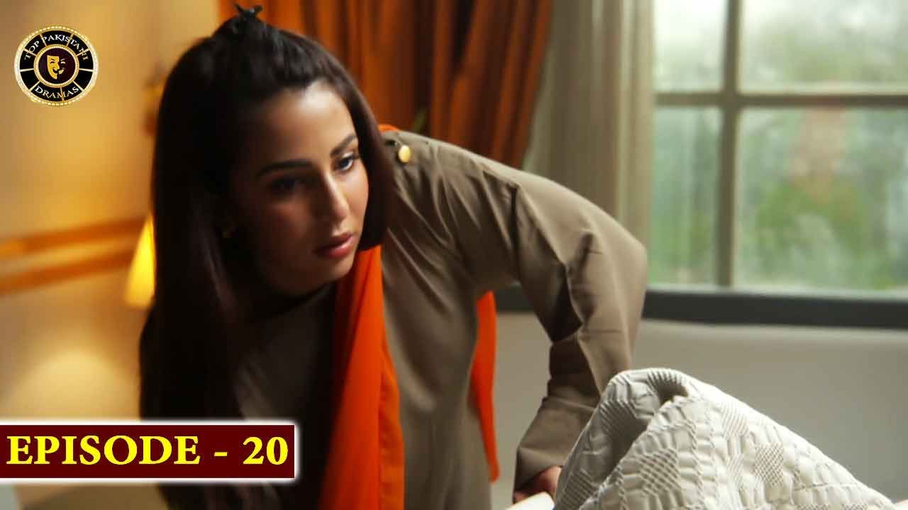 Habs Episode 20 | Top Pakistani Drama
