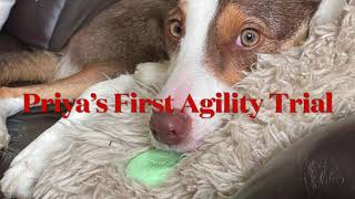 Priya's First Agility Trial