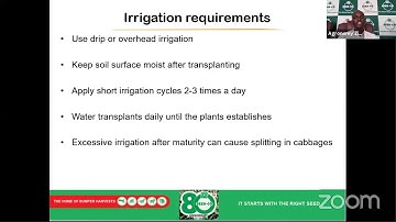 Seed Co Brassica Webinar