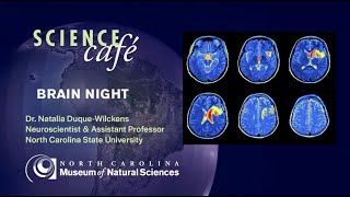 Science Cafe: Brain Night 2025