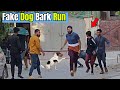 Fake dog bark run  pranks in pakistan  lahorified