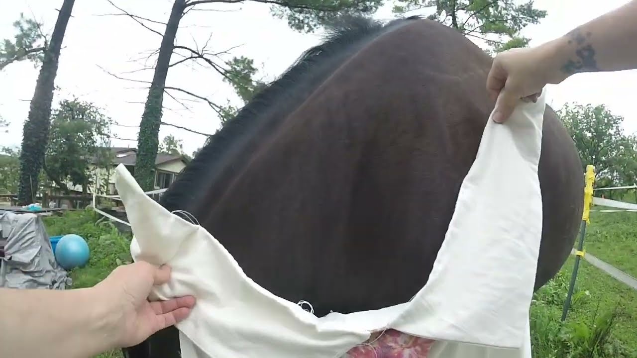 Poppy's 3 piece suit! & AFTER STORMS AGAIN!!! GOPR0907