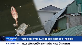 XEM NHANH 12H ngày 8/5: Trắng đêm dọn cá chết kênh Nhiêu Lộc | Mưa gió cuốn bay nóc nhà ở TP.HCM