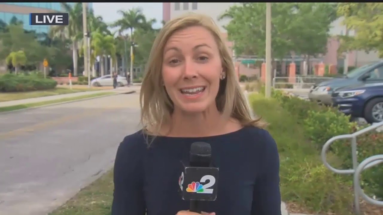southwest florida eagle cam Former politician pleaded guilty to evidence tampering in 2016 deadly hit-and-run
