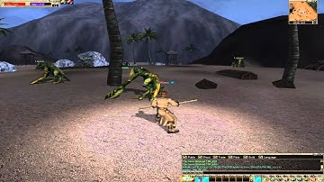 Return of Warrior - Assassin and Sorcerer Low Level Gameplay