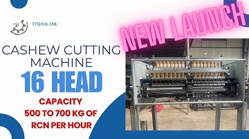 Cashew Nut Cutting Machine 16-Head  | 700 KG/Hr | LATEST Automatic Cashew Processing Technology 2024