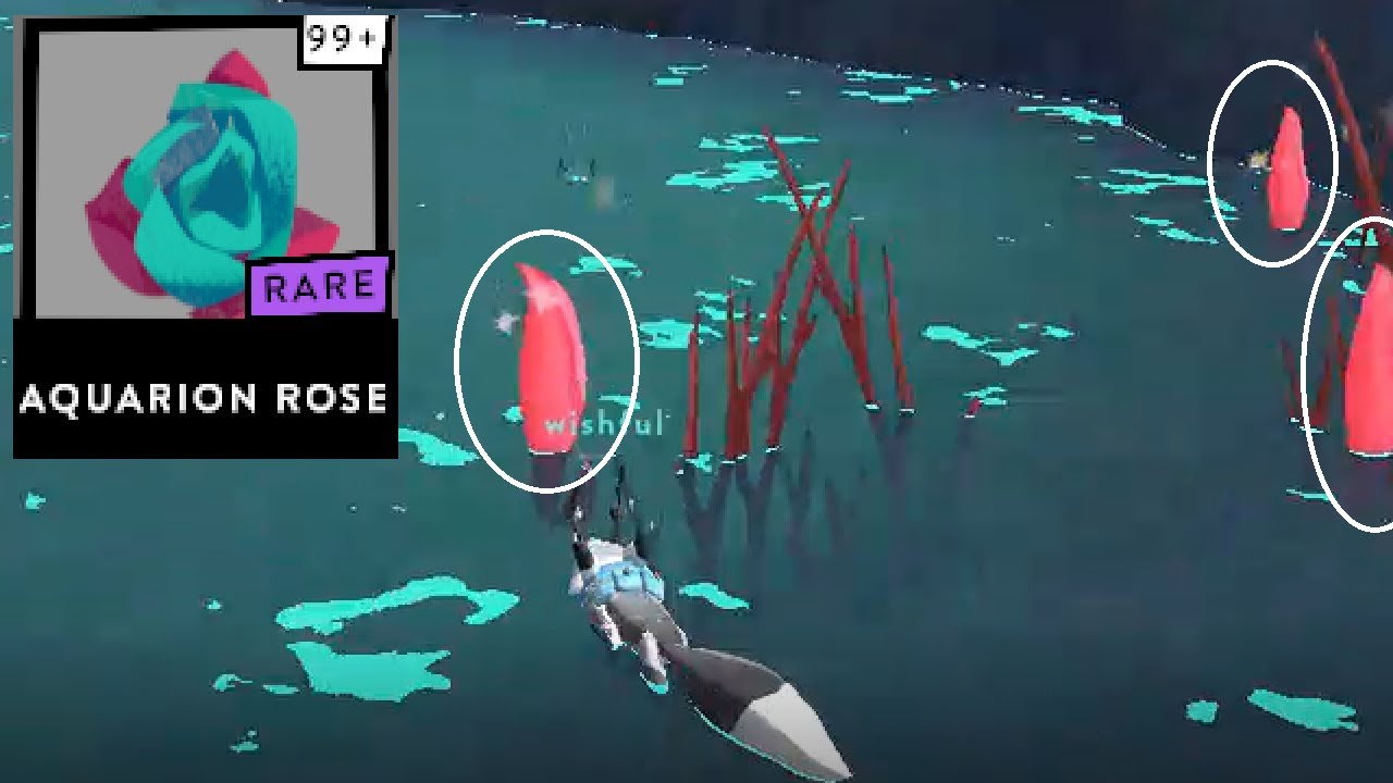 All Aquarion Rose Locations - Fer.al