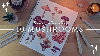 How To Draw Mushrooms In 10 Different Ways // Marker & Brush Pen Tutorial