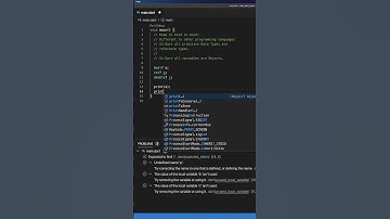 Primitive Data Types in Dart - #Shorts
