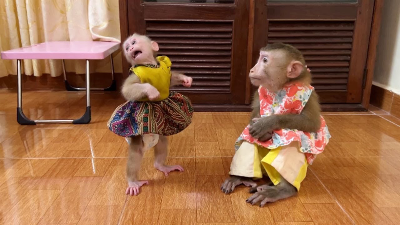 Chichi Upsetting Anqry Refuse To Join Treat With Naughty Jenny